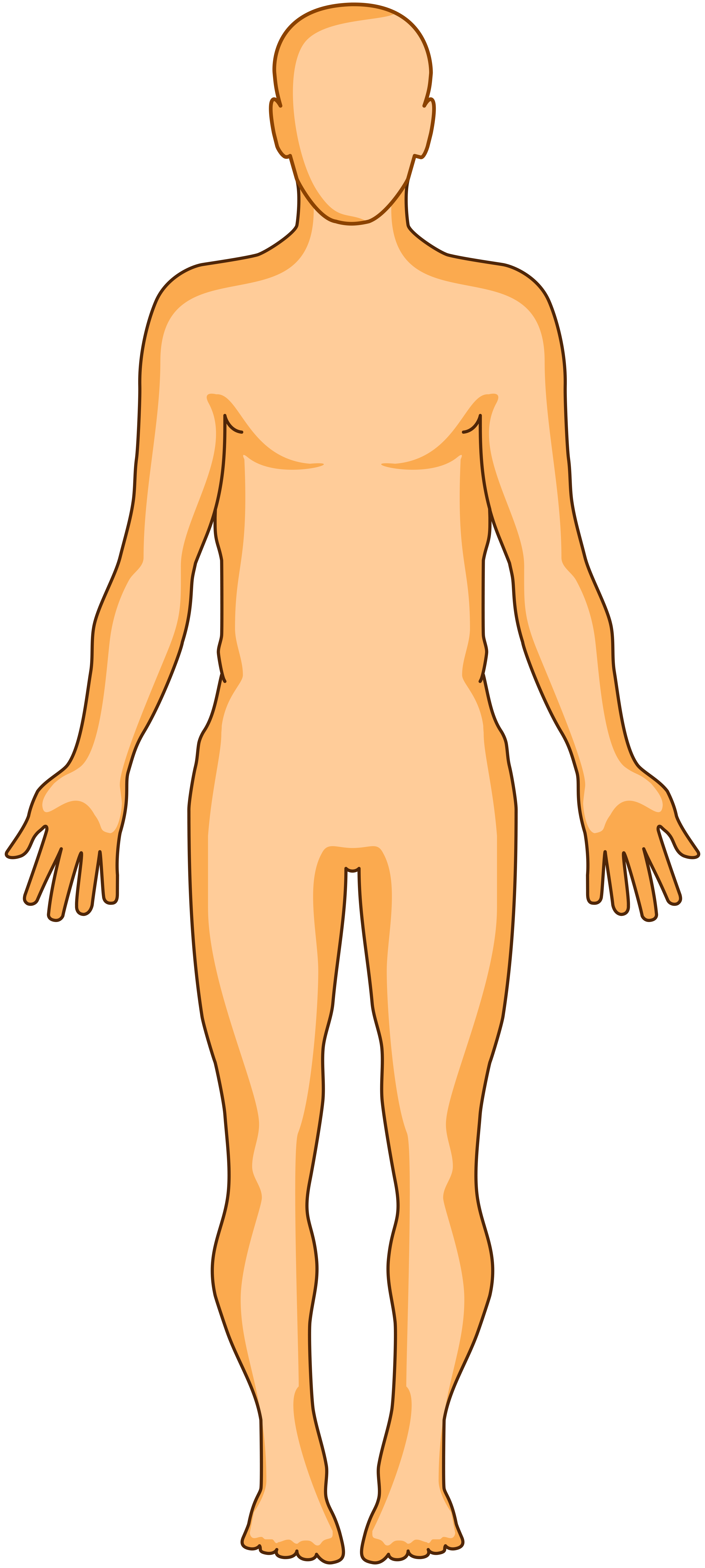 Mapa sobre el cuerpo humano